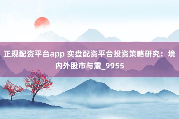 正规配资平台app 实盘配资平台投资策略研究：境内外股市与震_9955