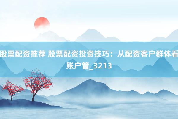 股票配资推荐 股票配资投资技巧：从配资客户群体看账户管_3213