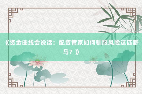 《资金曲线会说话：配资管家如何驯服风险这匹野马？》