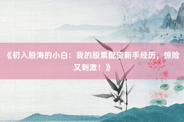 《初入股海的小白：我的股票配资新手经历，惊险又刺激！》