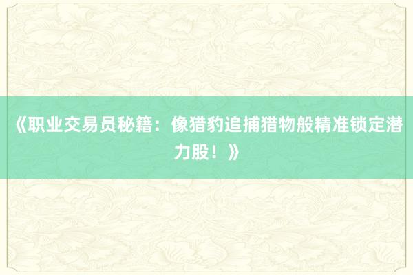 《职业交易员秘籍：像猎豹追捕猎物般精准锁定潜力股！》