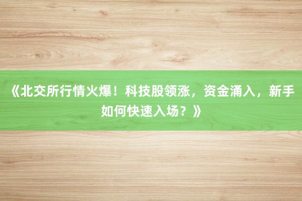 《北交所行情火爆！科技股领涨，资金涌入，新手如何快速入场？》