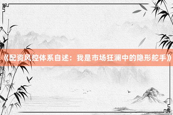 《配资风控体系自述：我是市场狂澜中的隐形舵手》