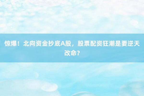惊爆！北向资金抄底A股，股票配资狂潮是要逆天改命？