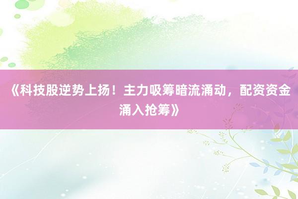 《科技股逆势上扬！主力吸筹暗流涌动，配资资金涌入抢筹》