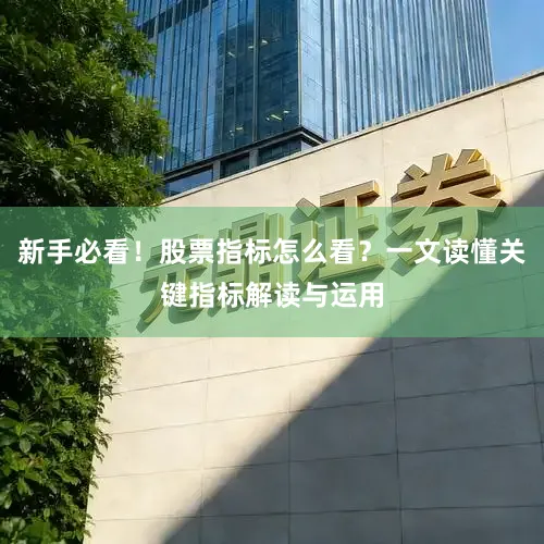 新手必看！股票指标怎么看？一文读懂关键指标解读与运用